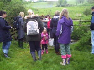 Duchyforest1