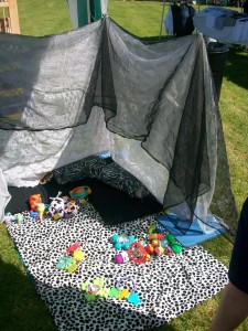 duchyfair3