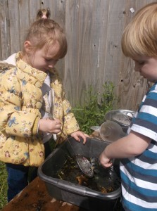 mudkitchen1