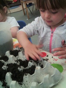 penryn growing 1