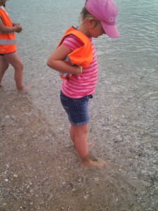 beachblog