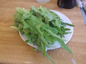 Marjon lettuce cooking club
