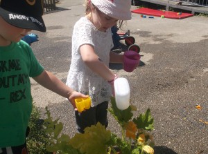 Marjon water veg