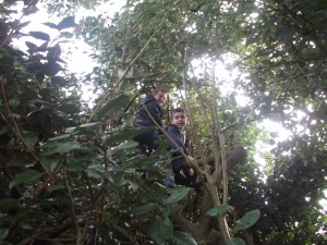 Camborne holiday club climbing
