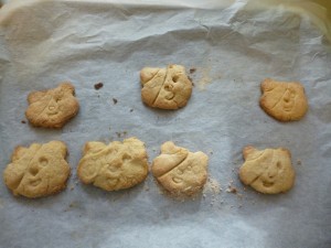 Camborne pudsey biscuits