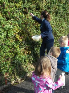 Helston Autumn blackberry picking 2