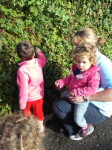 Helston Autumn blackberry picking
