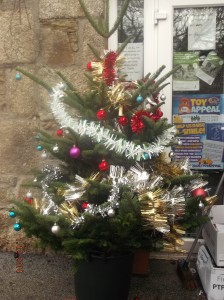 helston xmas tree