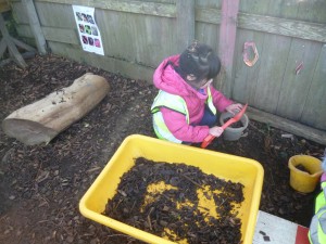 camborne builders2