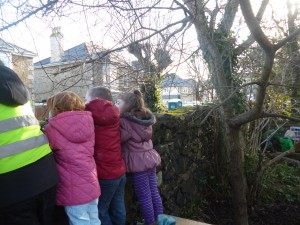 camborne builders3
