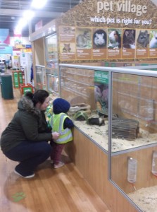 CC pets at home 1