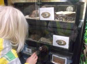 CC pets at home