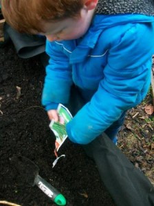 duchy dig 1