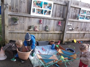 marjon planting