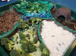 blog10
