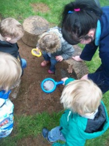 saltash bug hunt