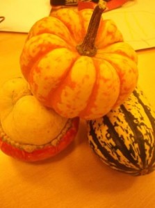 pumpkins 002