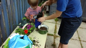 planting 1