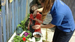planting 3