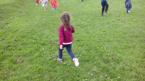 toddle 2