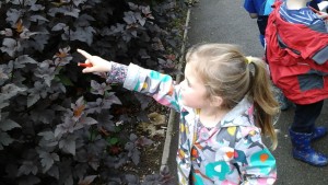 Bug hunt 2
