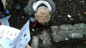 Bug hunt