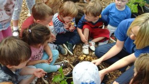 potatoes 2