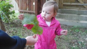 img_20161007_085754
