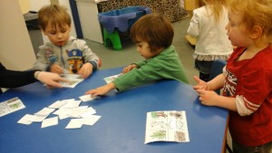 IMG_20170109_095526