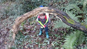 IMG_20170110_140530