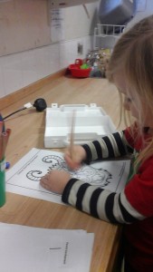 IMG_20170126_100405