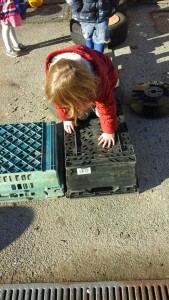 IMG_20170119_112441