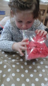 IMG_20170221_095337