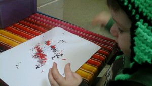 IMG_20170223_095530