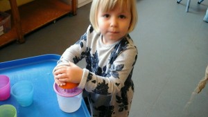 IMG_20170301_123956