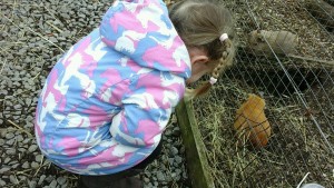 IMG_20170315_110410