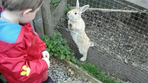 IMG_20170315_110456